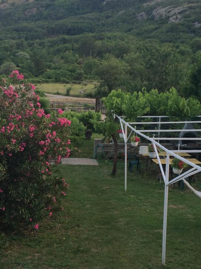 Guest House Darinka Draga Bascanska Exterior photo
